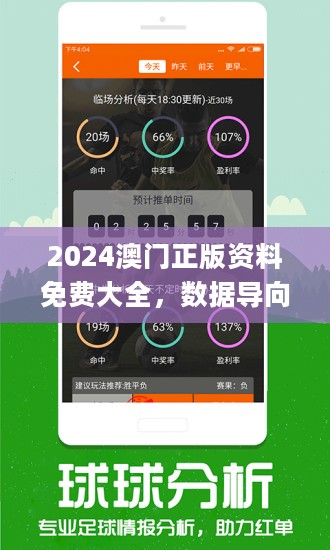 2024澳门免费精准资料｜精选解释解析落实